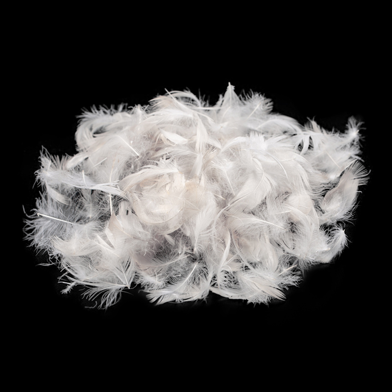 Washed White Duck Feather