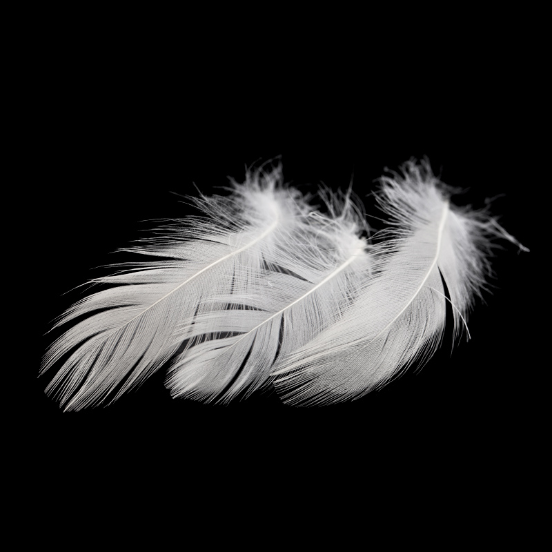 Washed White Duck Feather